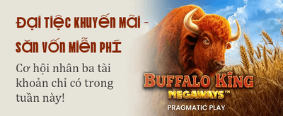 Siêu Ưu Đãi Mỗi Ngày